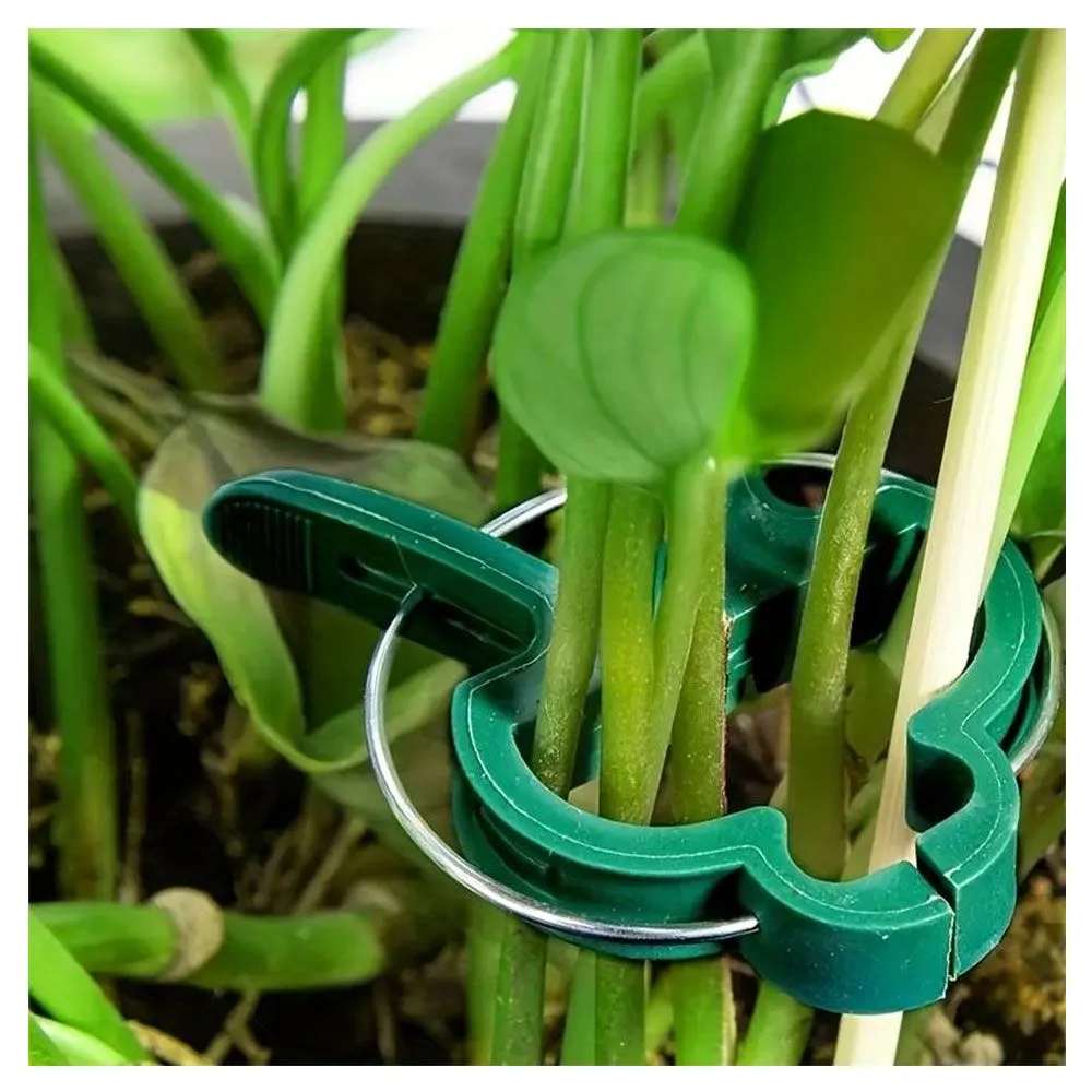 Clips de Fixation Plante x20