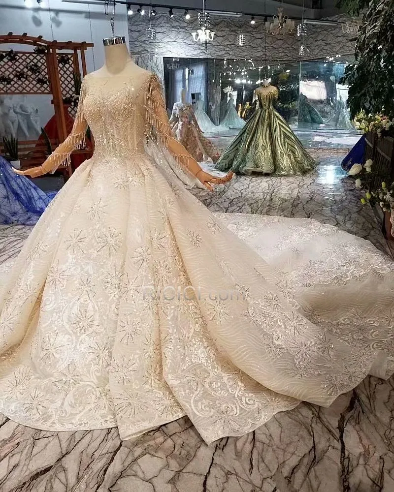 Dos Nu Paillette Brillante À Frange Dentelle Longue Brodé Manche Longue Champagne Robe De Mariée